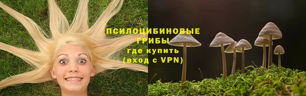 шишки Кострома