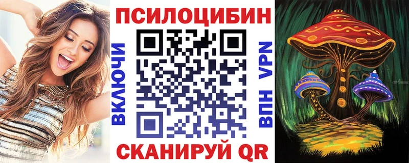 Псилоцибиновые грибы GOLDEN TEACHER  где продают   Оренбург 