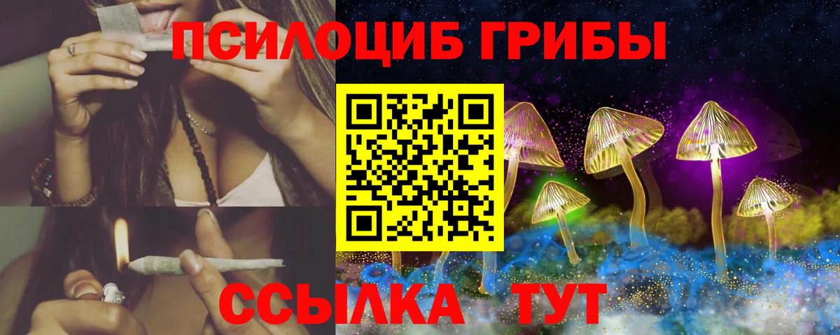 Оренбург  Псилоцибиновые грибы мухоморы  Галлюциногенные грибы прущие грибы  Вход с VPN 